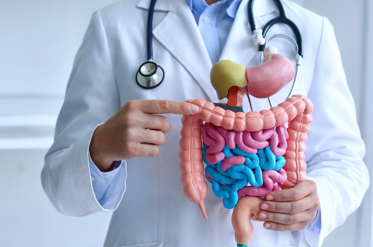 Gastroenterology