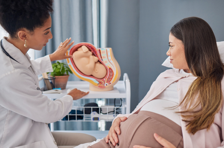 Urogynaecology