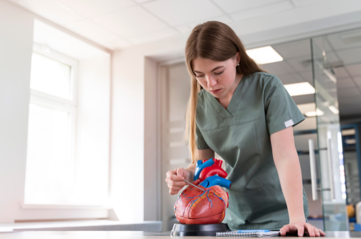 Vascular Angioplasty